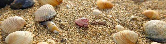 该遇见的人终究还是会遇见