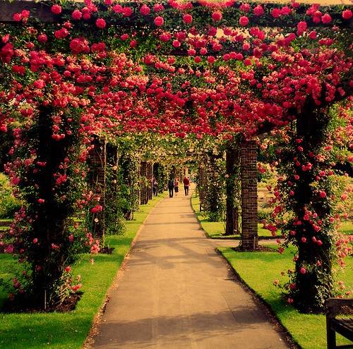 日系小清新图片