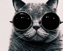 甜美清新的情侣头像图片