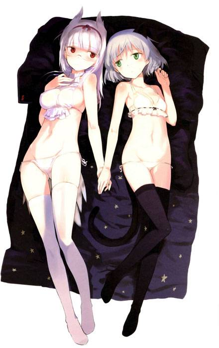 二次元低腰胖次美少女美图集（11）