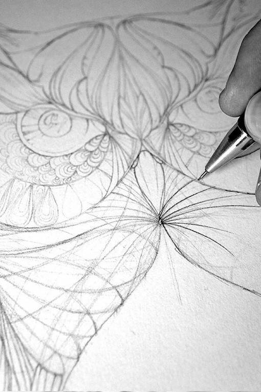 插画师Greg Coulton的手绘猫头鹰唯美单色插画图片