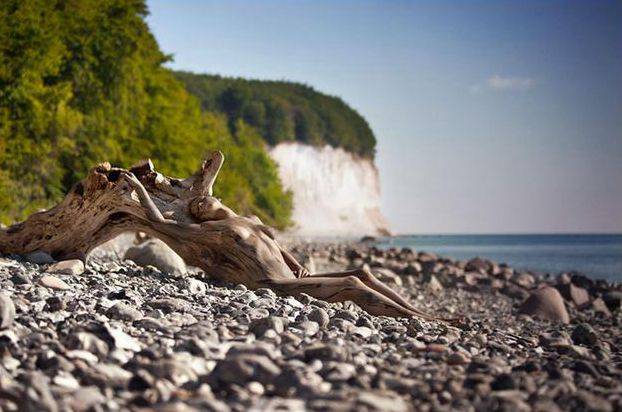 隐藏的彩绘少女：令人震惊的伪装人体艺术[24P]