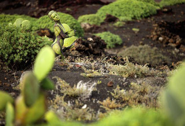 隐藏的彩绘少女：令人震惊的伪装人体艺术[24P]