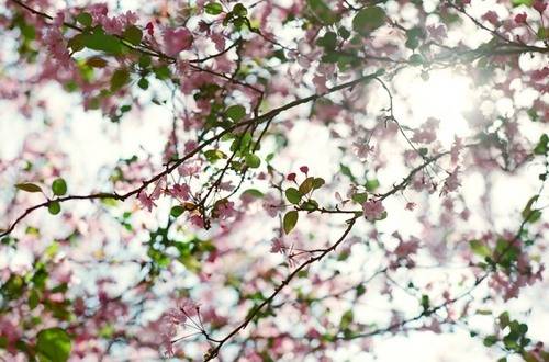 城市映象,春城昆明图片