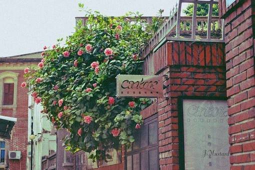 正能量日系美图