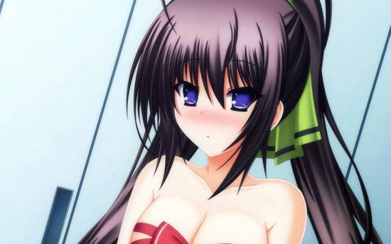 《Infinite Stratos》篠之之箒美图片写真集大全(10)