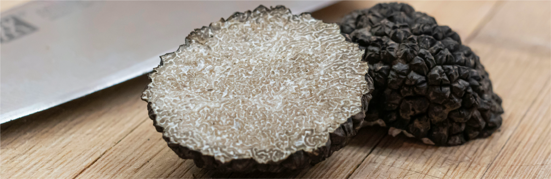 OLIDI Image 3