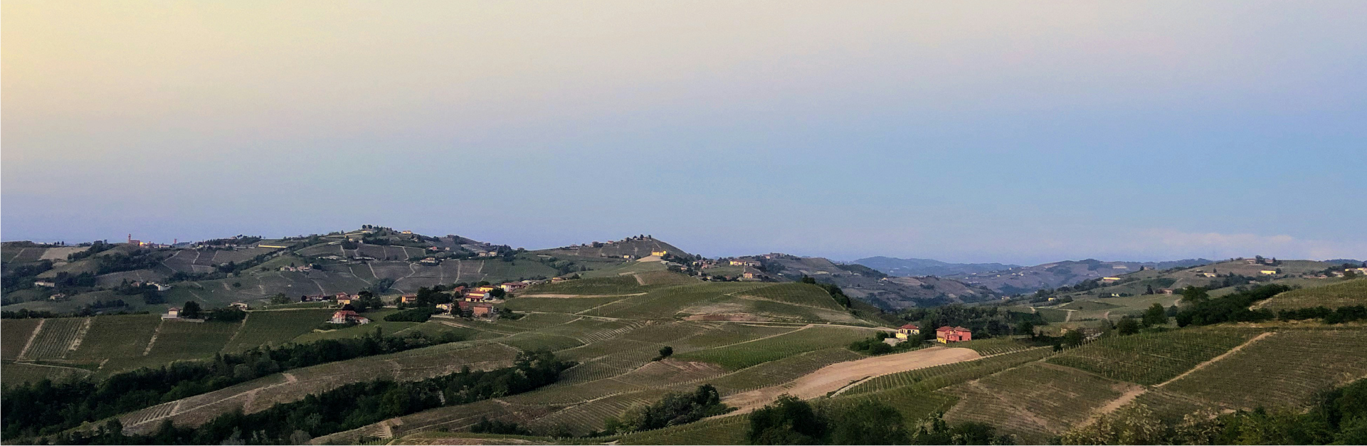 OLIDI Image 1