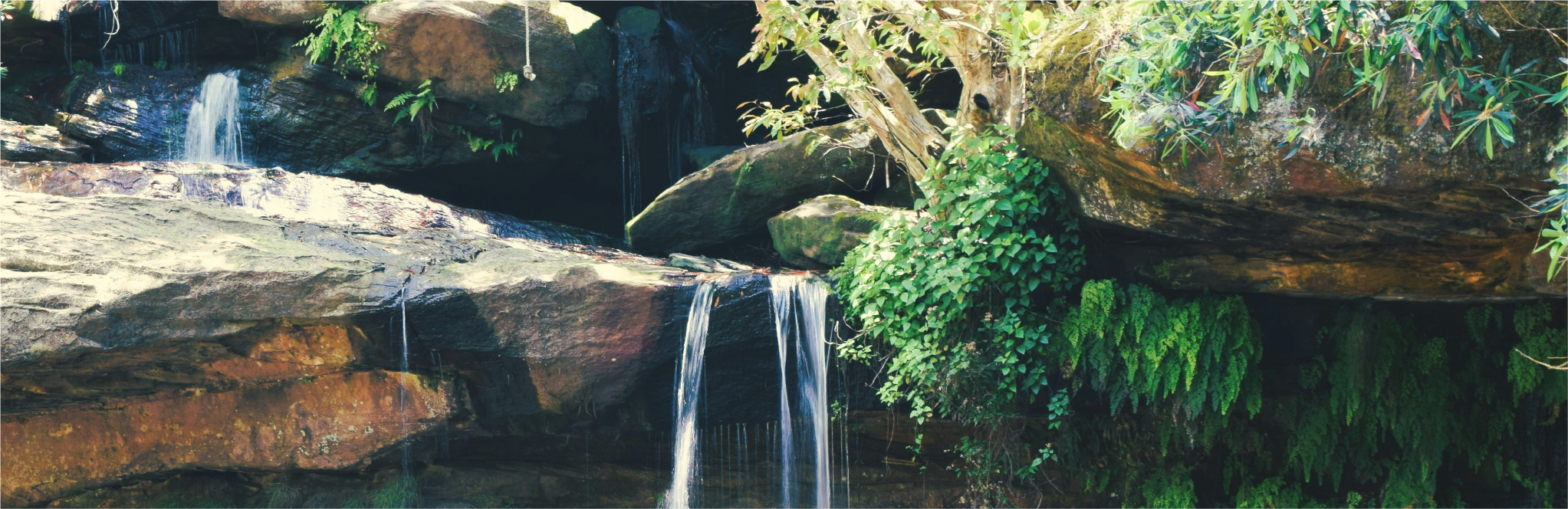 TheBreathofLife_image_1