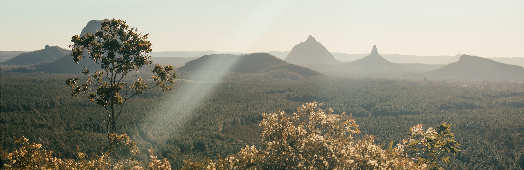 TheBreathofLife_image_3