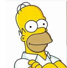 Homer Simpson (The Simpsons)