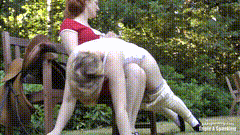 AAA_spoiled_jodhpurs_brat-小圈子