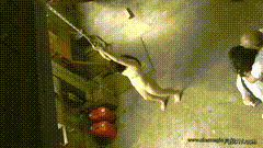 Jav_奴隶市场2_02h06m49s_02h14m14s_2_Japan_-小圈子
