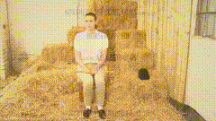 Northern_Spanking_nsi_3300_part0_Horsewhipped_1_of_3-小圈子