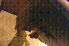 THAV_Bondage_Trip_To_The_Dungeon-小圈子