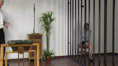 Week_25_2517_3_-小圈子