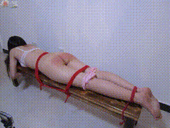 茉莉红花_L27_Quinn_Extreme_Experience-小圈子
