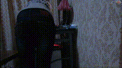 茉莉红花_M073-小圈子