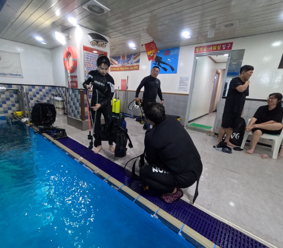 서강대학교 스쿠버다이빙 수업 후기