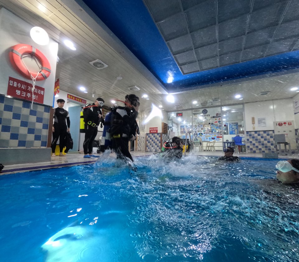 서강대학교 스쿠버다이빙 수업 후기