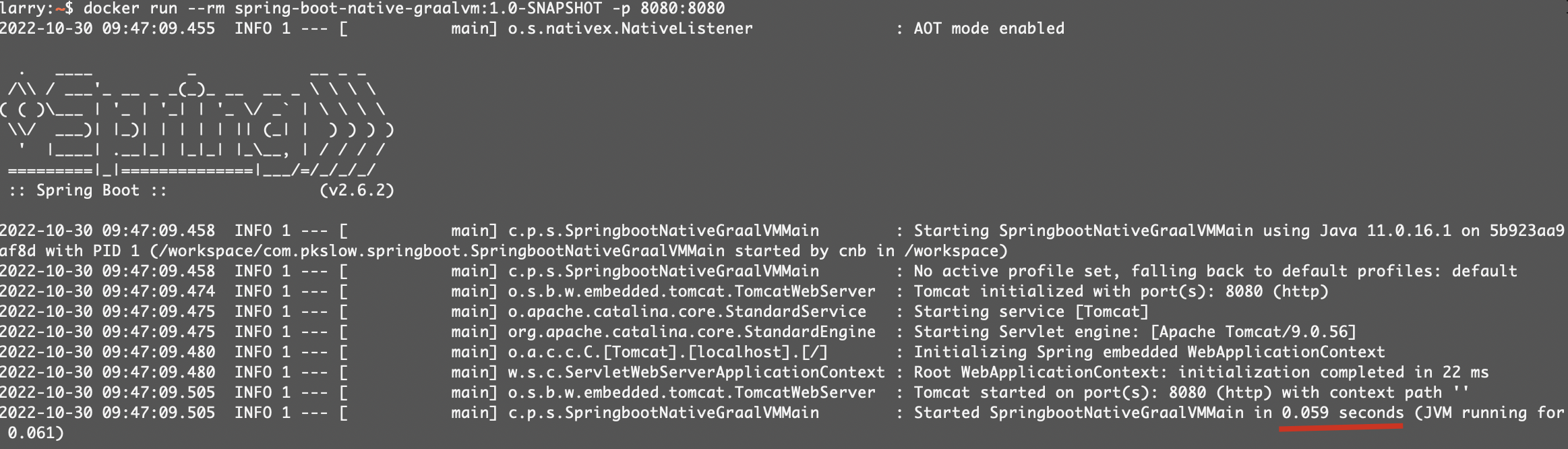 Run the spring-boot-native-graalvm image