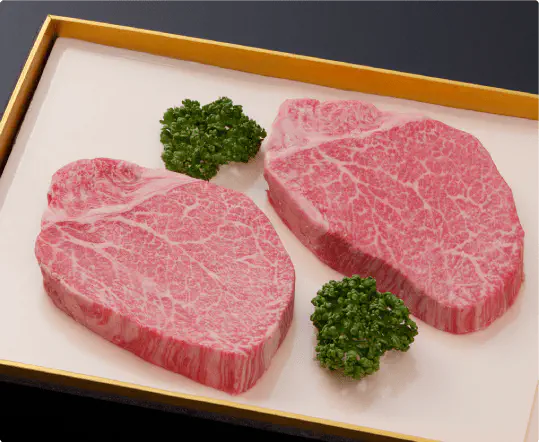 レビュー用ヒレステーキ画像