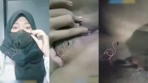 Bokep Indo Viral Tele@asupanjilbab10