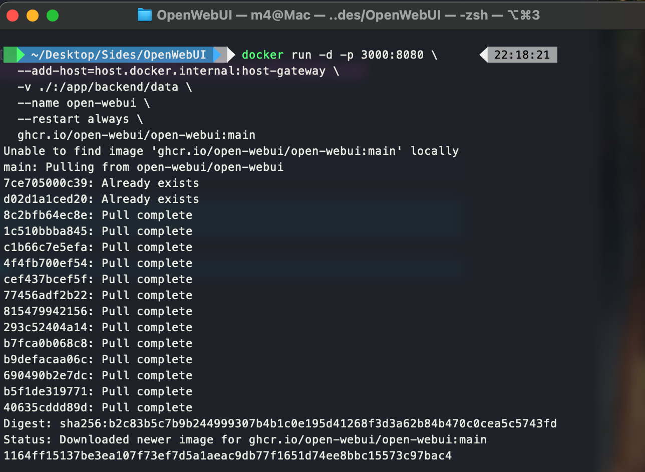 docker 启动 OpenWebUI