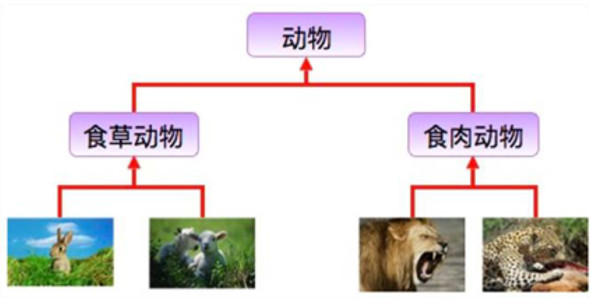 继承-动物继承关系