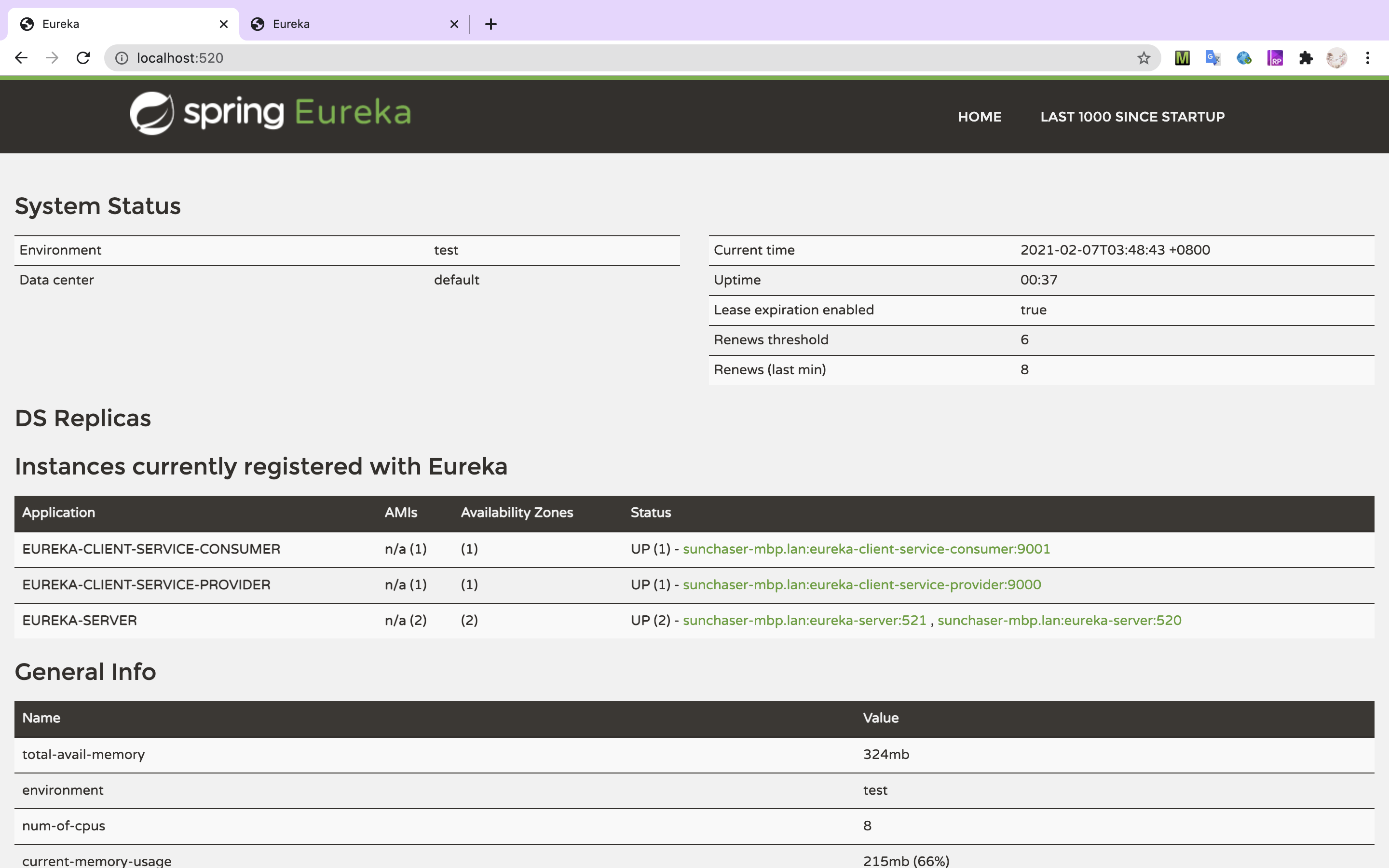 eureka-client-service-consumer