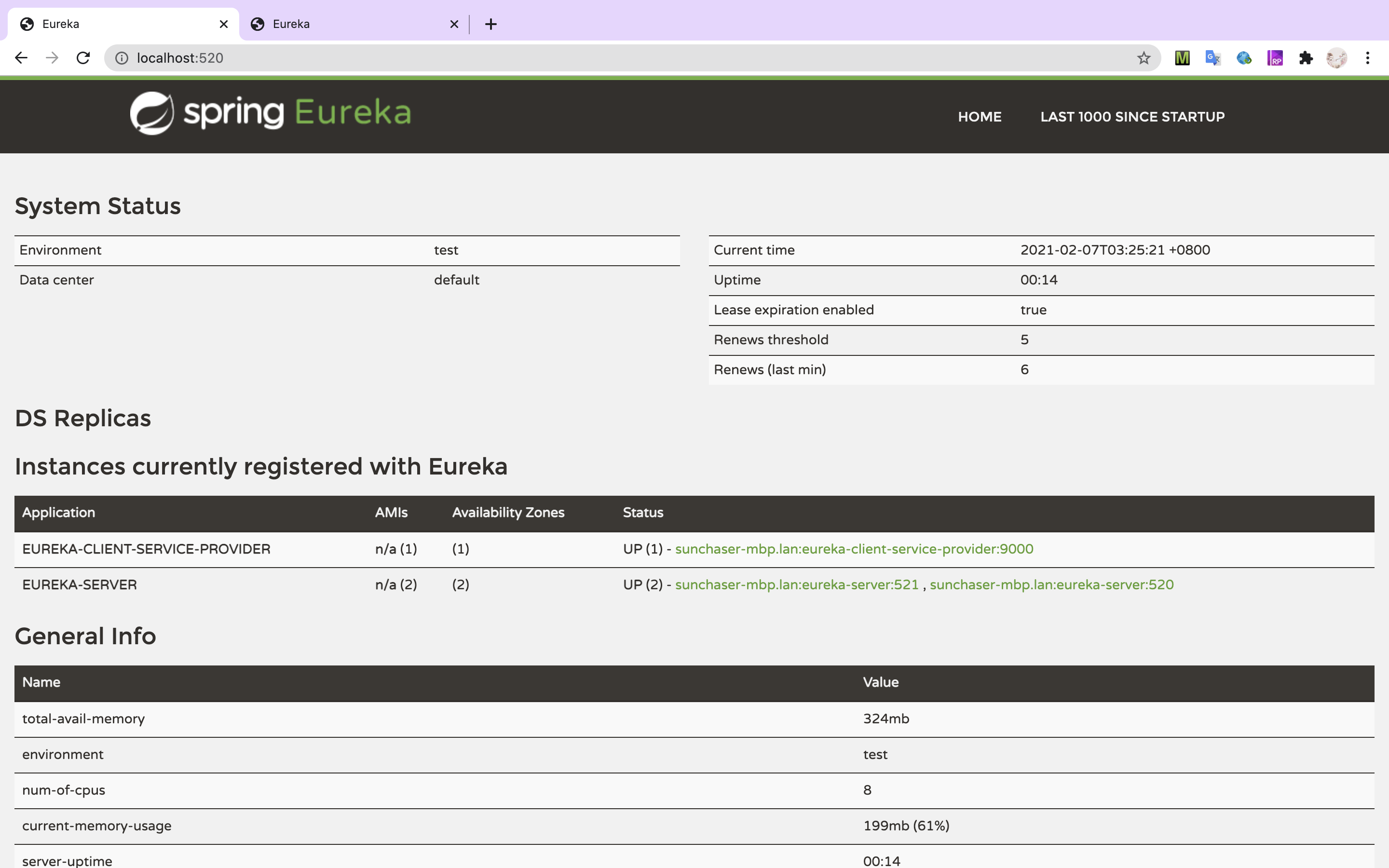 eureka-client-service-provider