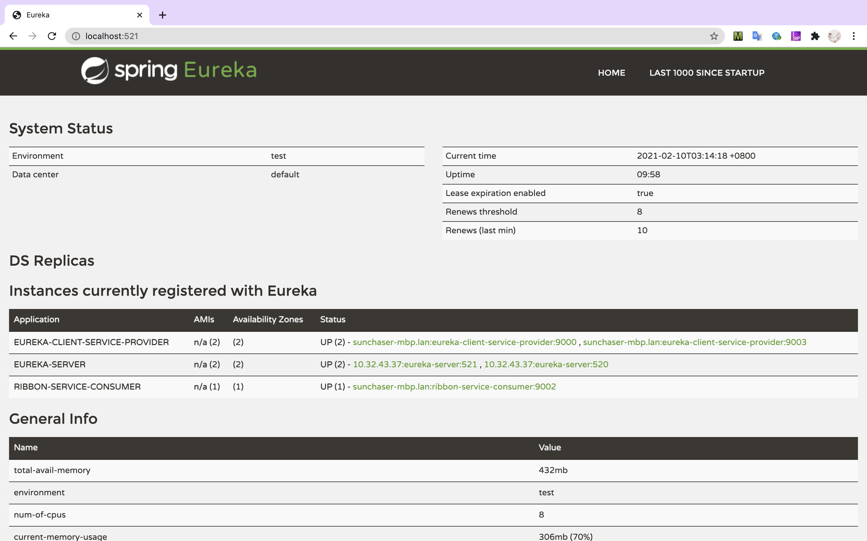 two_eureka_client_service_provider