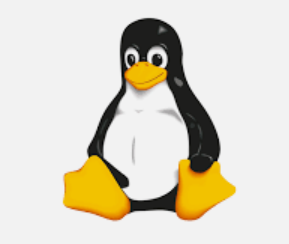 Linux 基础速查