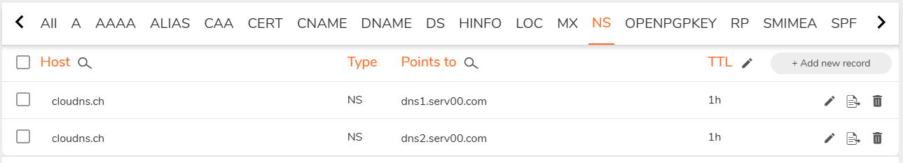 两条 DNS 记录 两条 DNS 记录