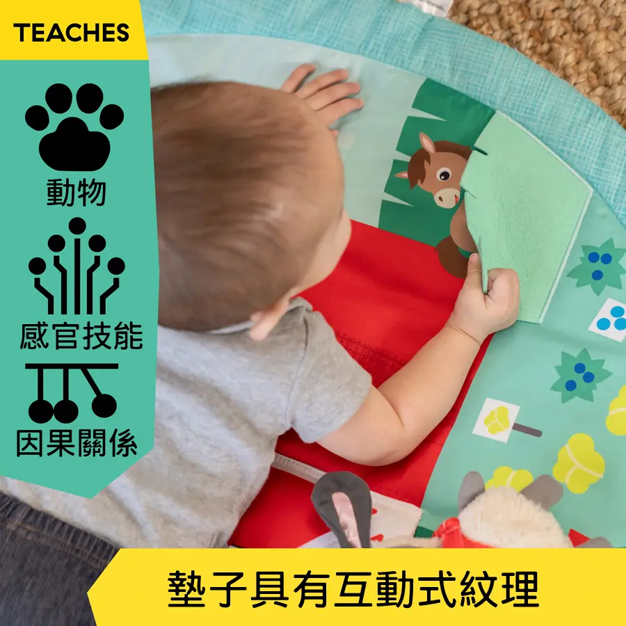 Baby Einstein 農場探險家互動遊戲墊