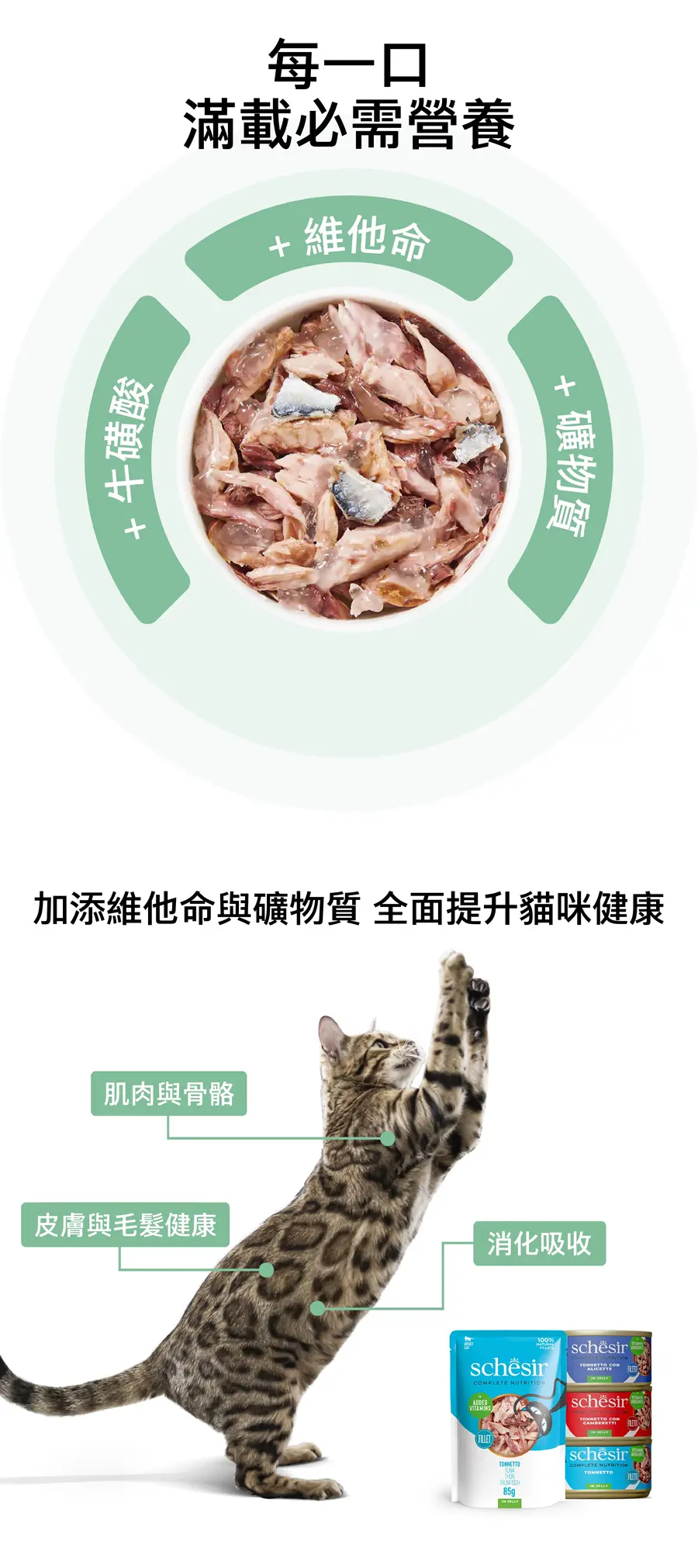 Schesir 貓罐頭/ 啫喱 吞拿魚飯