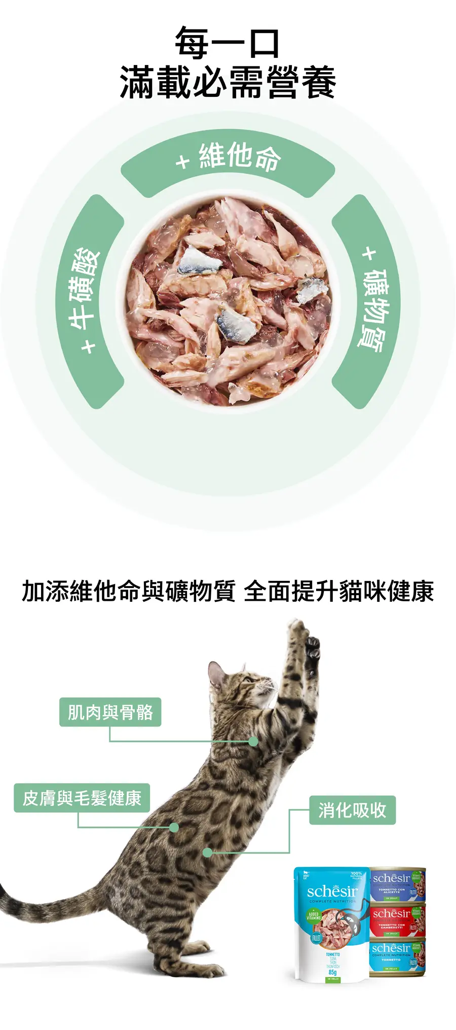 Schesir 貓主食罐頭/ 湯煮 純吞拿魚