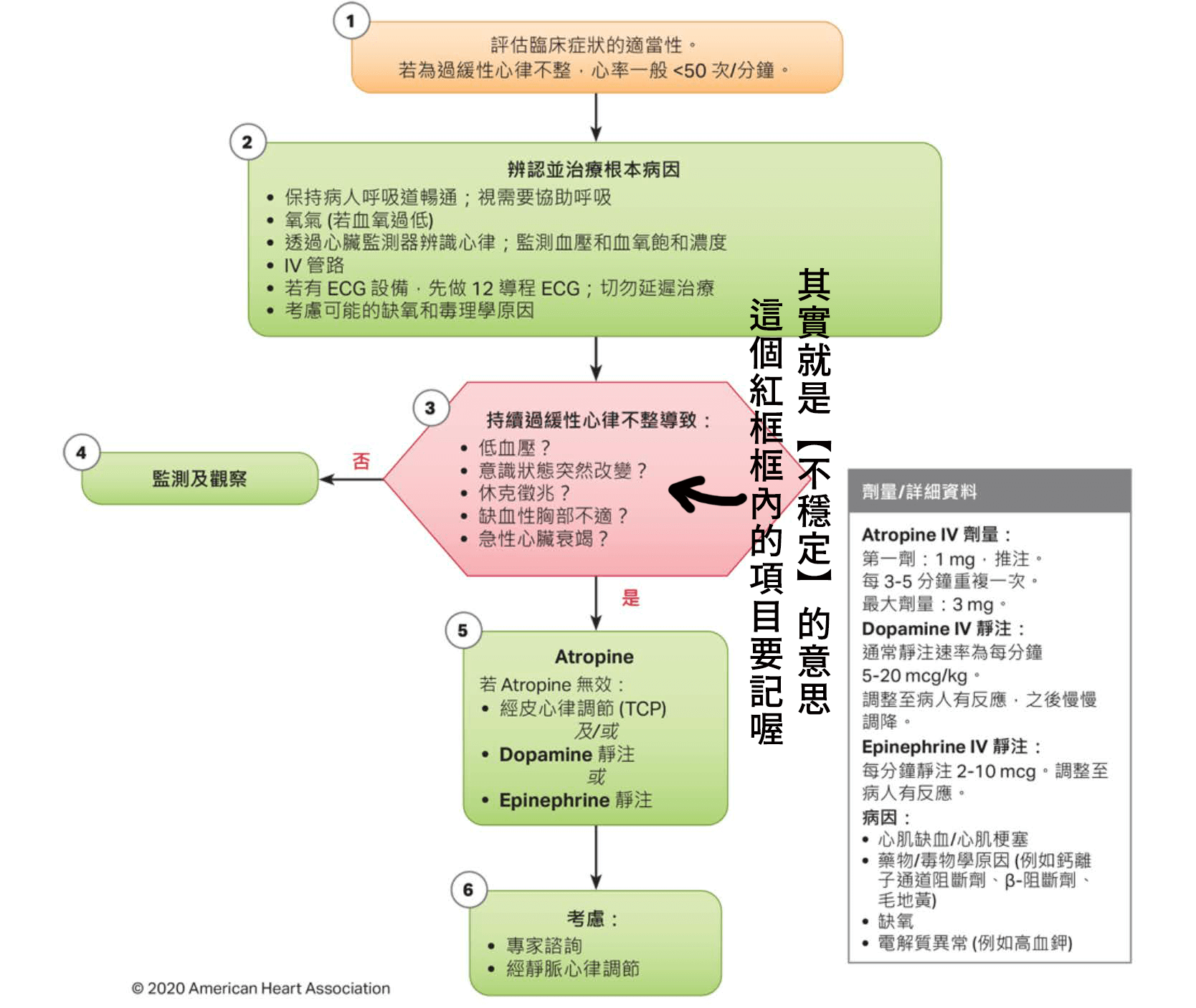 心搏過緩流程圖