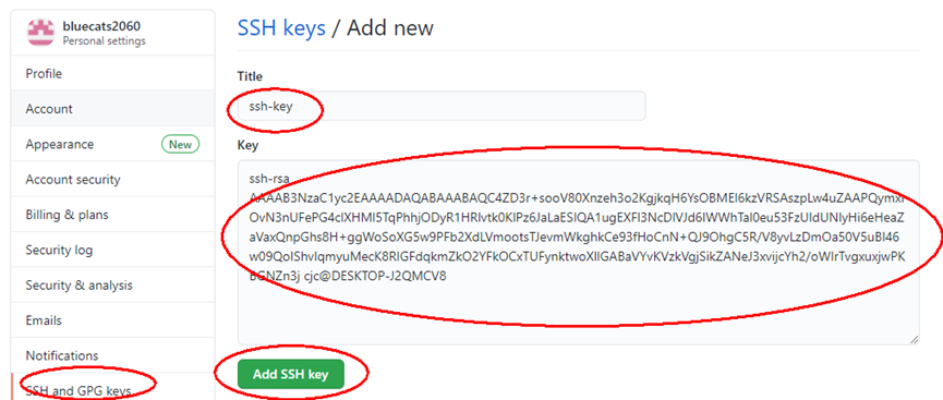 image-20230505224029652