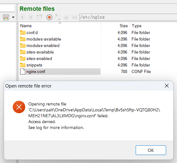 bitvise-access-denied