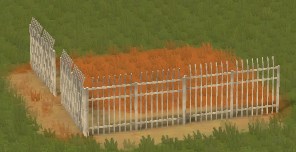 jpg