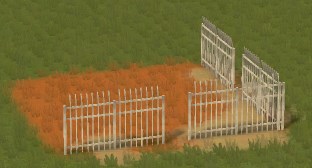 jpg