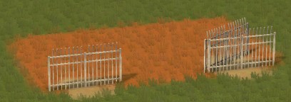 jpg