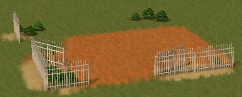 jpg