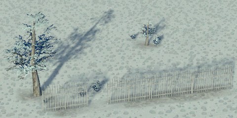 jpg
