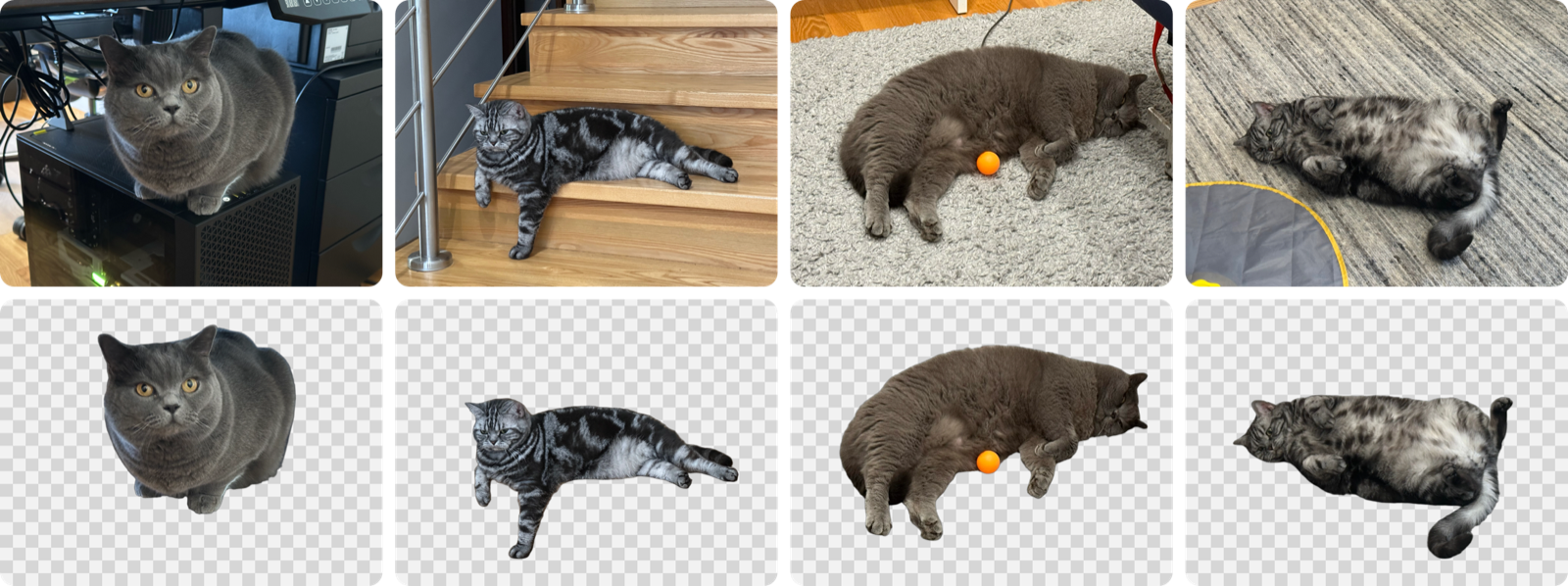 Four cat photos on top: one sitting on a PC, a tabby on wooden stairs behind a metal railing, a grey cat on a shaggy rug next to an orange ball, and a tabby belly-up on a striped rug. Below each, the same cat cut out on a transparent checkerboard.