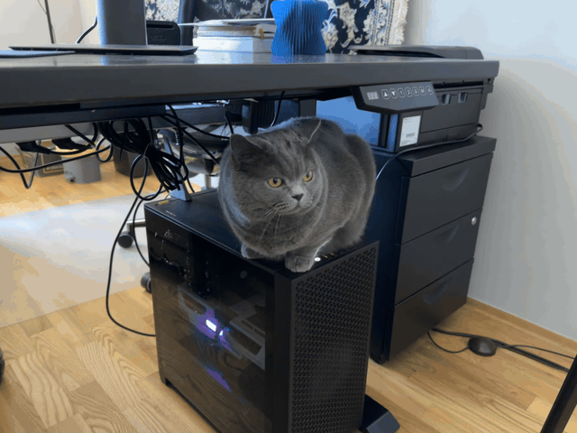An animated GIF of a grey British Shorthair sitting on top of a PC case, looking at the camera and blinking.