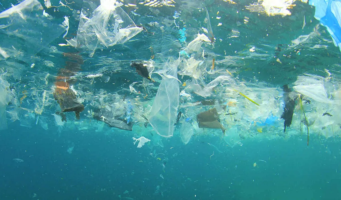 Our planet is dying and it’s because of the fishing industry