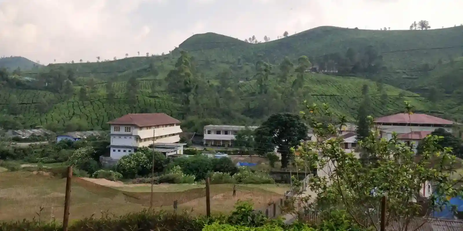 Munnar, Kerala