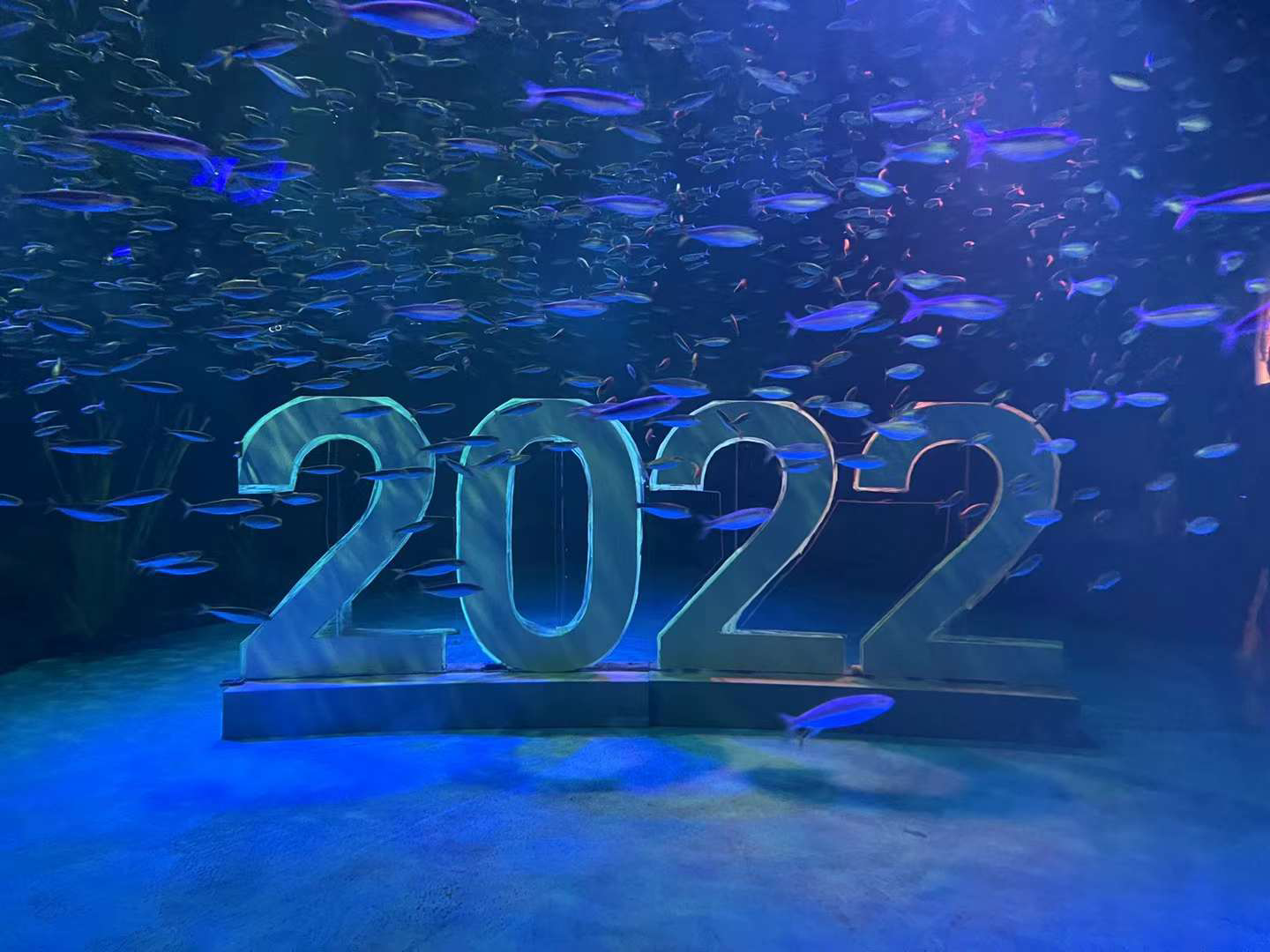 image-20230104232042243